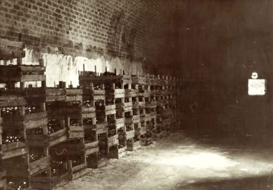 Harvested mushrooms within tunnels originally placed in wooden boxes. (Source: Supplied)